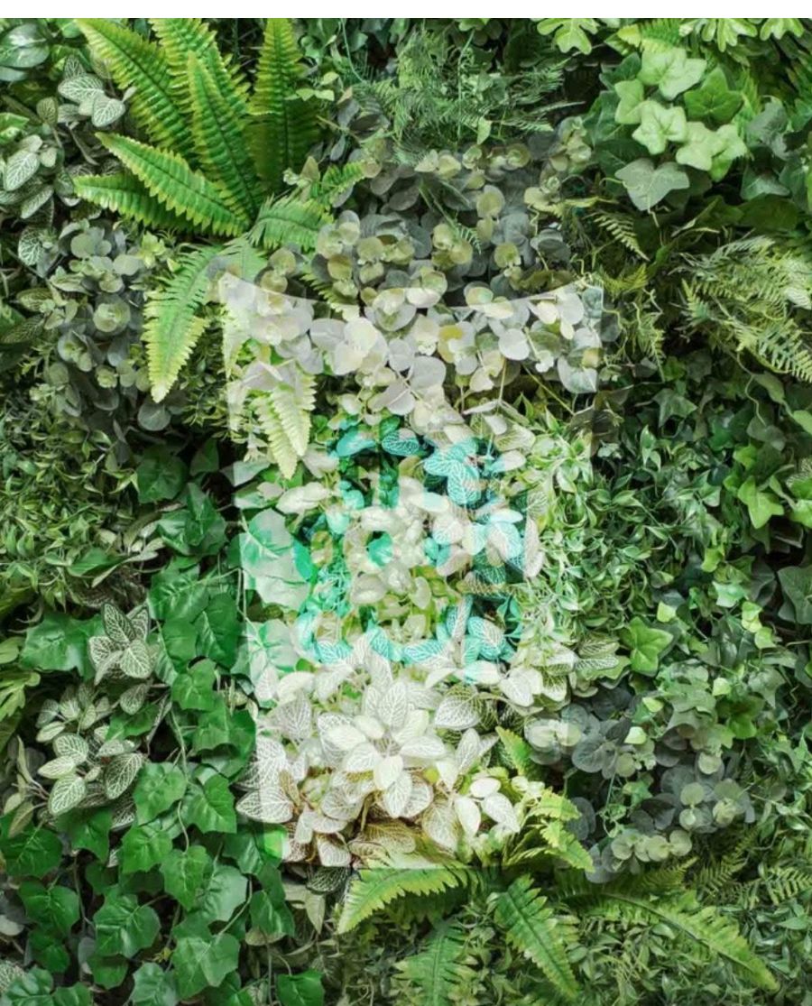 Biodégradable dans la nature