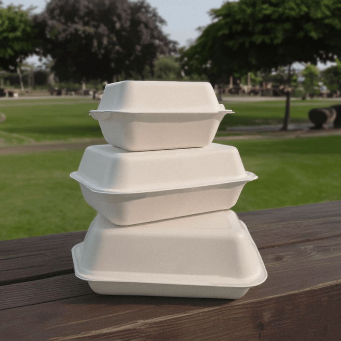 All about Bagasse: Eco-Friendly Material for Packaging